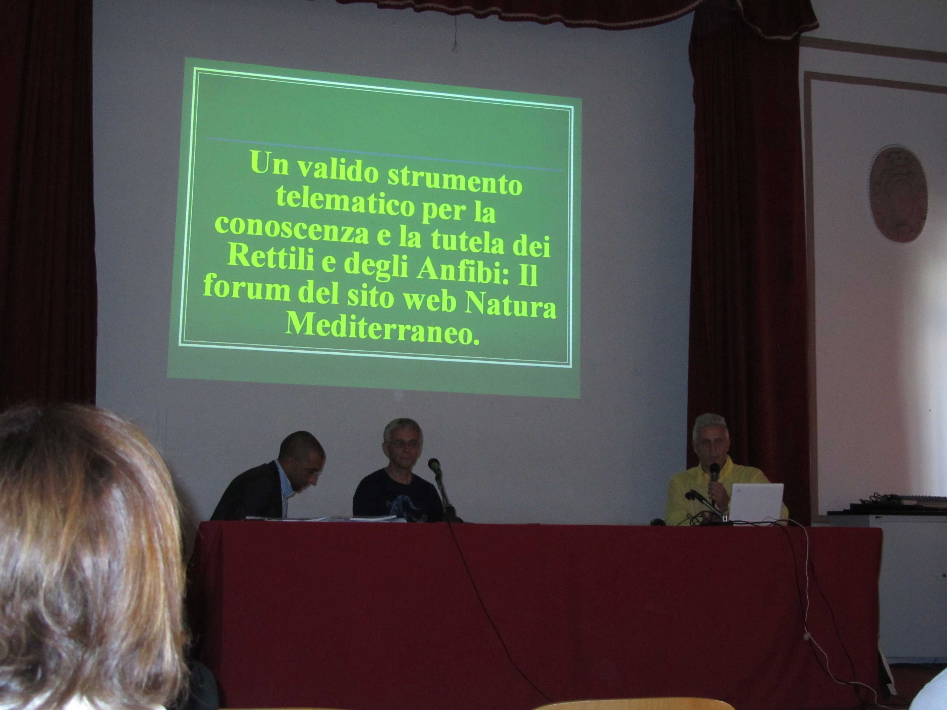 Congresso Societas Herpetologica Italica a Bari